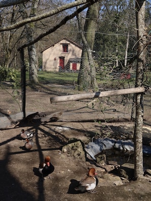 Udendørsområde