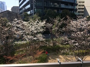 家庭公寓, 多张床, 无烟房 | 客房景观