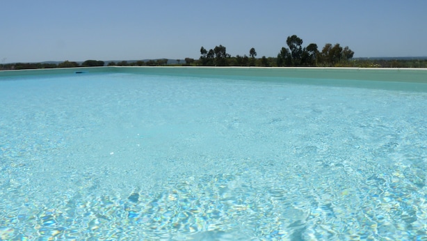 On aperçoit clairement une piscine, avec une rangée d’arbres en arrière-plan.