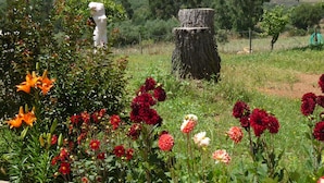 Un jardin agrémenté de différentes fleurs, une statue blanche et le tronc d’un arbre.