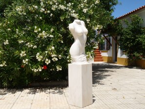 Vista del pati