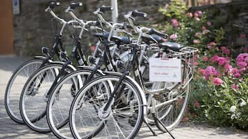 A row of bicycles parked in a designated bike rack area, with a sign indicating a bike rental service.
