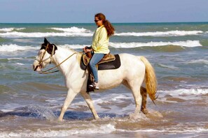 A person riding a horse on a beach with waves in the background. - Acapulco Villa South Padre Island (South Padre Island)