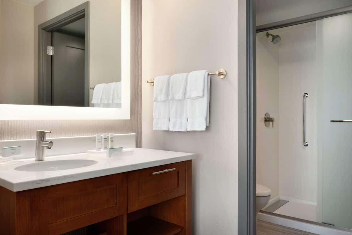 A bathroom with two sinks, a mirror, and a shower.