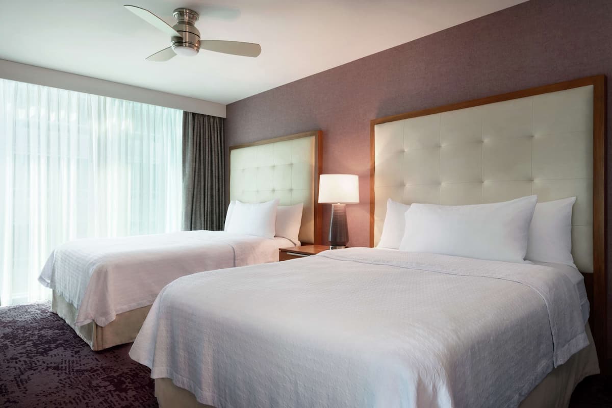 A hotel room with two beds, a ceiling fan, a large window with curtains, and a carpeted floor.