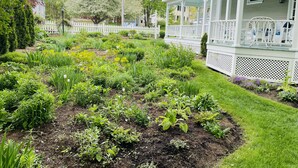 A well-maintained garden with various plants and a white porch with outdoor furniture. - The Belmont Inn (Camden)