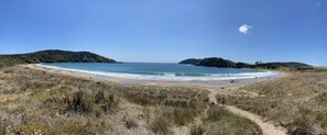 A coastal landscape with a sandy beach, grassy dunes, and a clear blue sky.