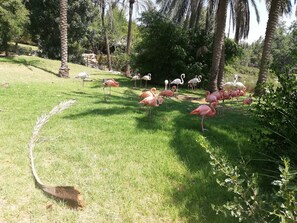 Parco della struttura