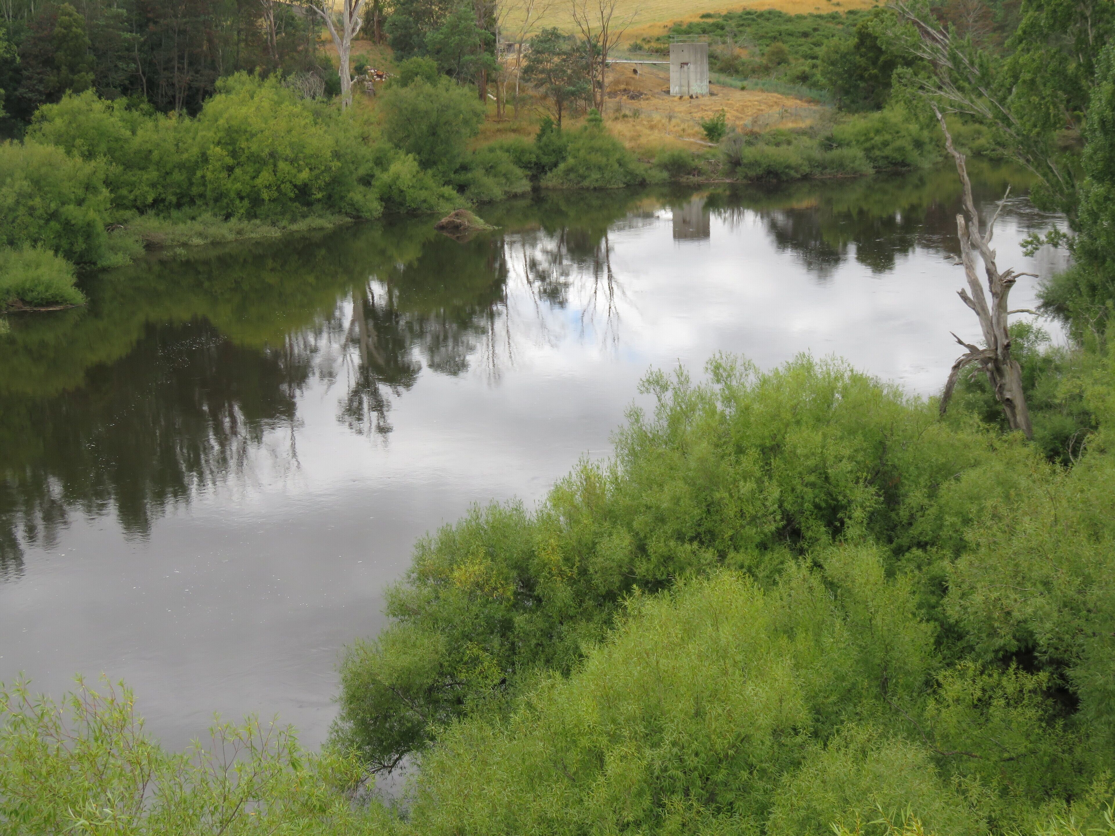 A tranquil river surrounded by dense greenery and a small structure in the background.