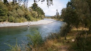 A river with a person standing in the water, surrounded by dense greenery and trees. - Quaint Lockwood River Cottage (Turangi)