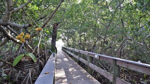 A wooden boardwalk through a mangrove forest with dense foliage and a wooden railing. - Beachfront - Romantic - Relaxing - Panoramic Views - Little Gasparilla Island  (Placida)