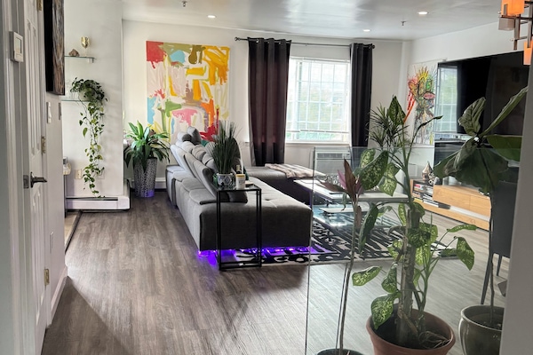 TV connectée, livres, écrans d'ordinateur