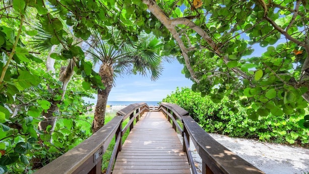 Ein hölzerner Boardwalk führt zu einem Strand, umgeben von üppiger Vegetation und Palmen.