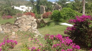 A garden with stone ruins, lush greenery, and vibrant pink bougainvillea flowers. - SPACIOUS PRIVATE PARADISE FOR NATURE LOVERS - An extraordinary vacation rental! (Kingshill PO)