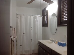 Bañera con ducha, secador de pelo, toallas, jabón