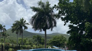 A swimming pool with clear blue water, surrounded by a fence, palm trees, and a mountainous landscape in the background. - SPACIOUS PRIVATE PARADISE FOR NATURE LOVERS - An extraordinary vacation rental! (Kingshill PO)
