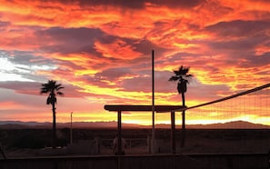 A sunset with a vibrant sky, palm trees, and a fence.