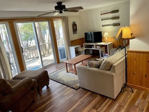Smart TV, fireplace, DVD player, books