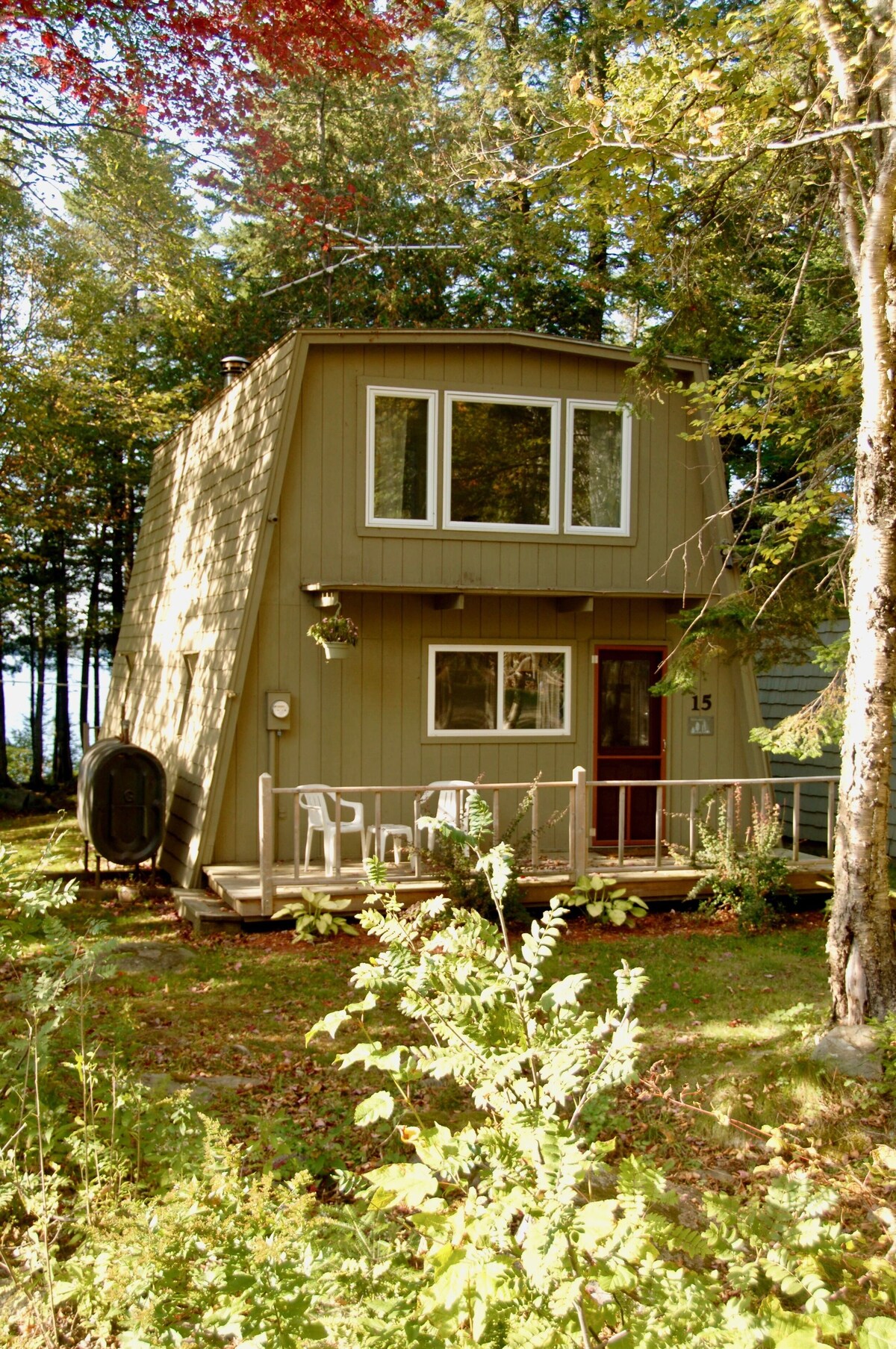 Image de profil de l’hôte