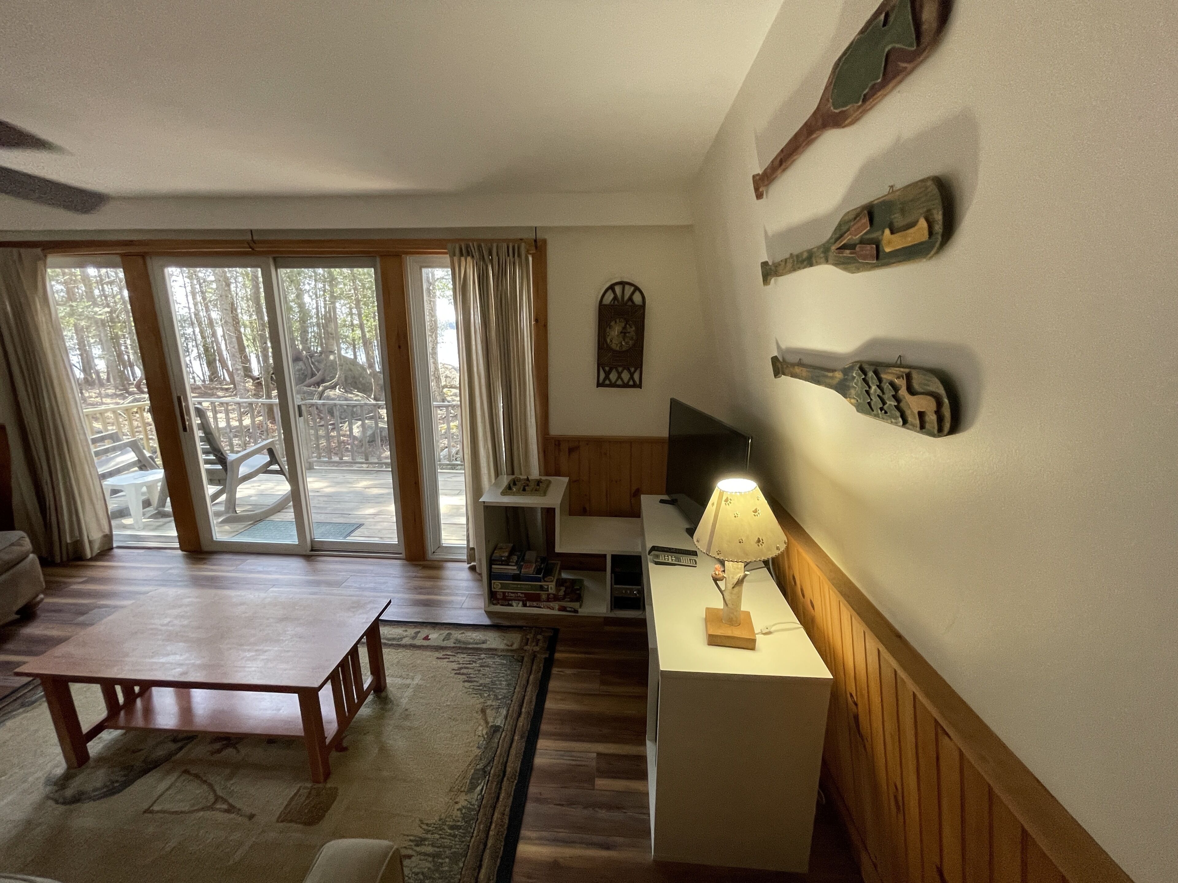 Smart TV, fireplace, DVD player, books