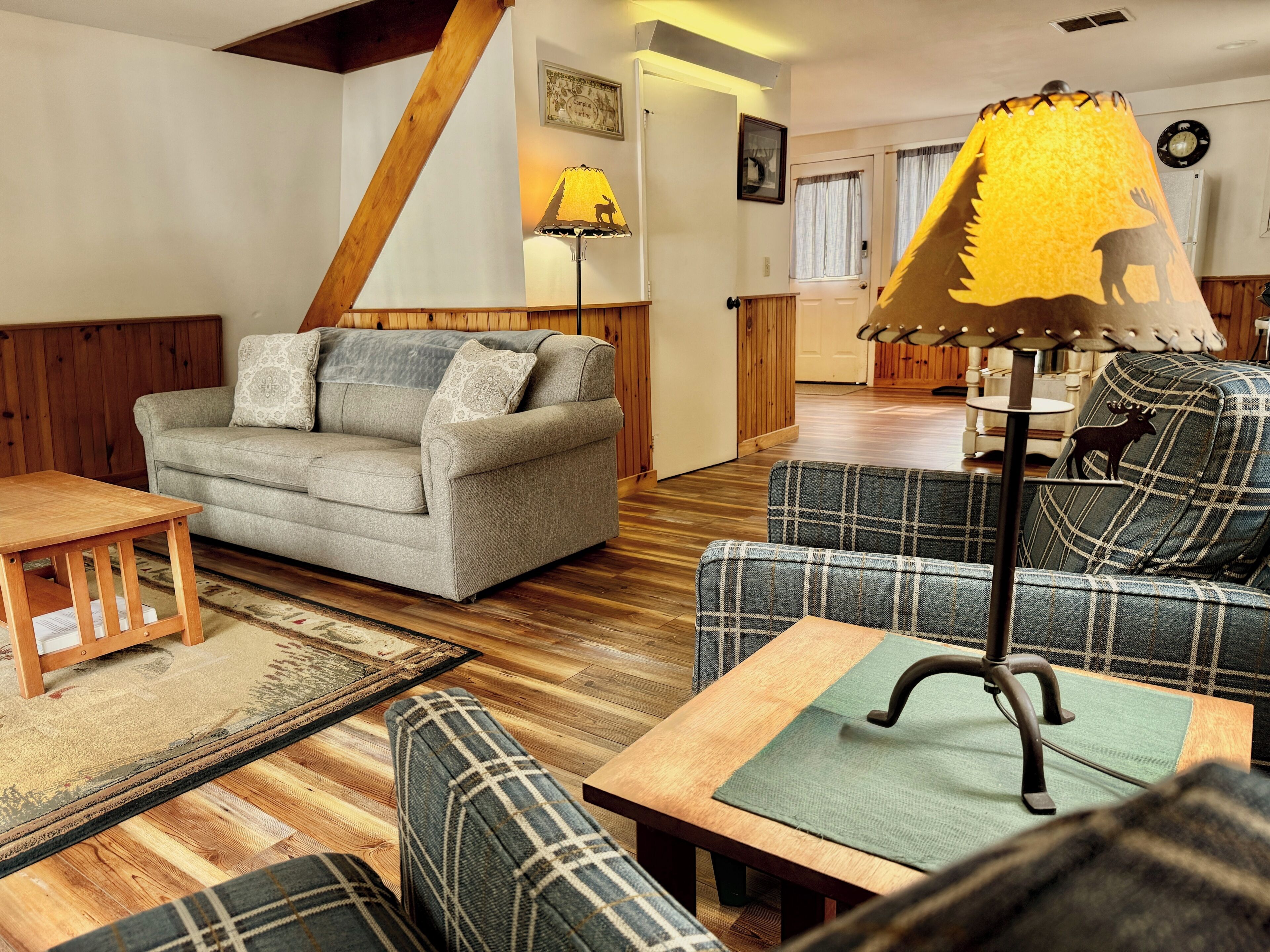 Smart TV, fireplace, DVD player, books