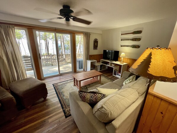 Smart TV, fireplace, DVD player, books