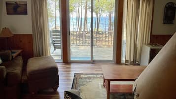 Smart TV, fireplace, DVD player, books