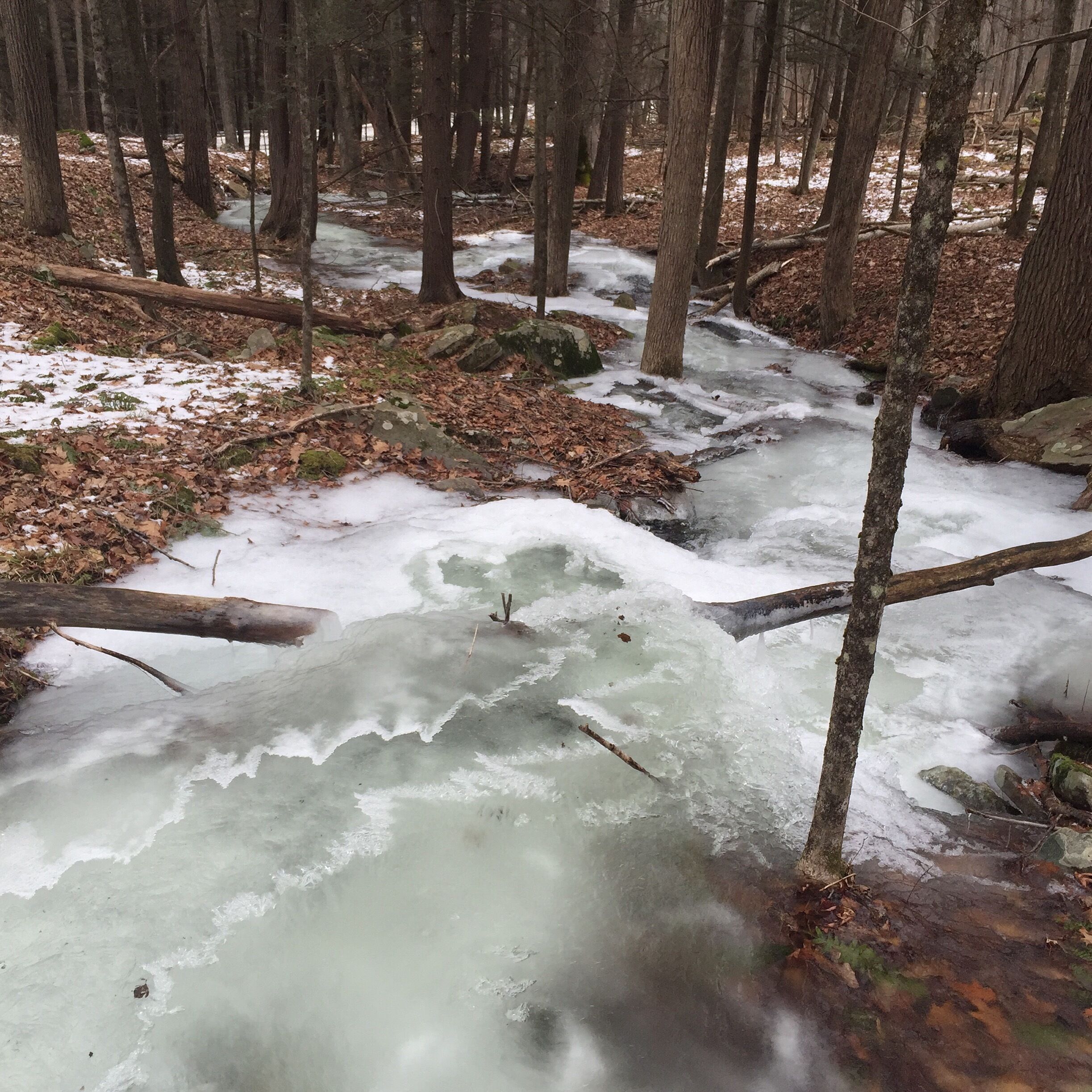 Une rivière gelée avec un pont en bois, au cœur d’une forêt.