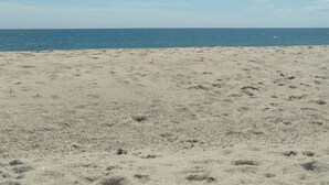 Una playa con cielo despejado y mar tranquilo.