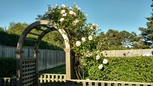 Una pérgola de madera con rosales trepadores.