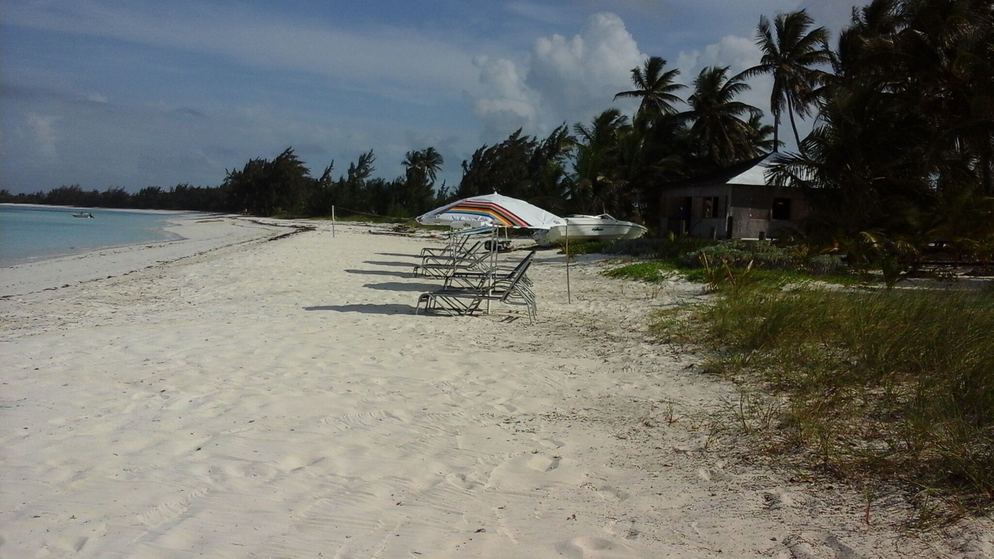 A beach with white sand, a row of beach chairs, a white umbrella with a rainbow design, and palm trees in the background.