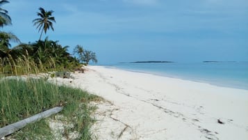 Am Strand