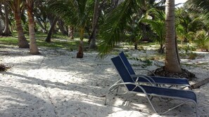 Property grounds - Exuma' Best Kept Secret (Rolleville Exuma Bahamas)