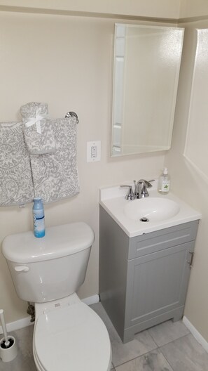 Hair dryer, towels, soap, shampoo - Amazing Logan Circle 2 Bdrm Bsmt Apt/ Convention Center. (Washington)