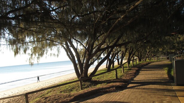 Une promenade dallée bordée d’arbres, avec une plage en arrière-plan.