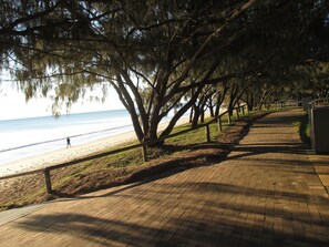 A paved walkway with trees and a beach in the background.