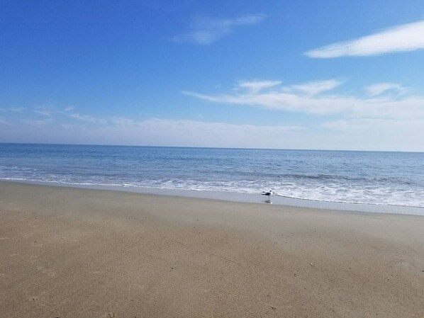 Playa en los alrededores 