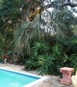 Outdoor pool - Studio ESCAPE Cozy CLOSE-IN Kitchen Pool Work-Space (Tallahassee)