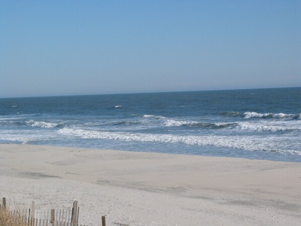 بالقرب من الشاطئ