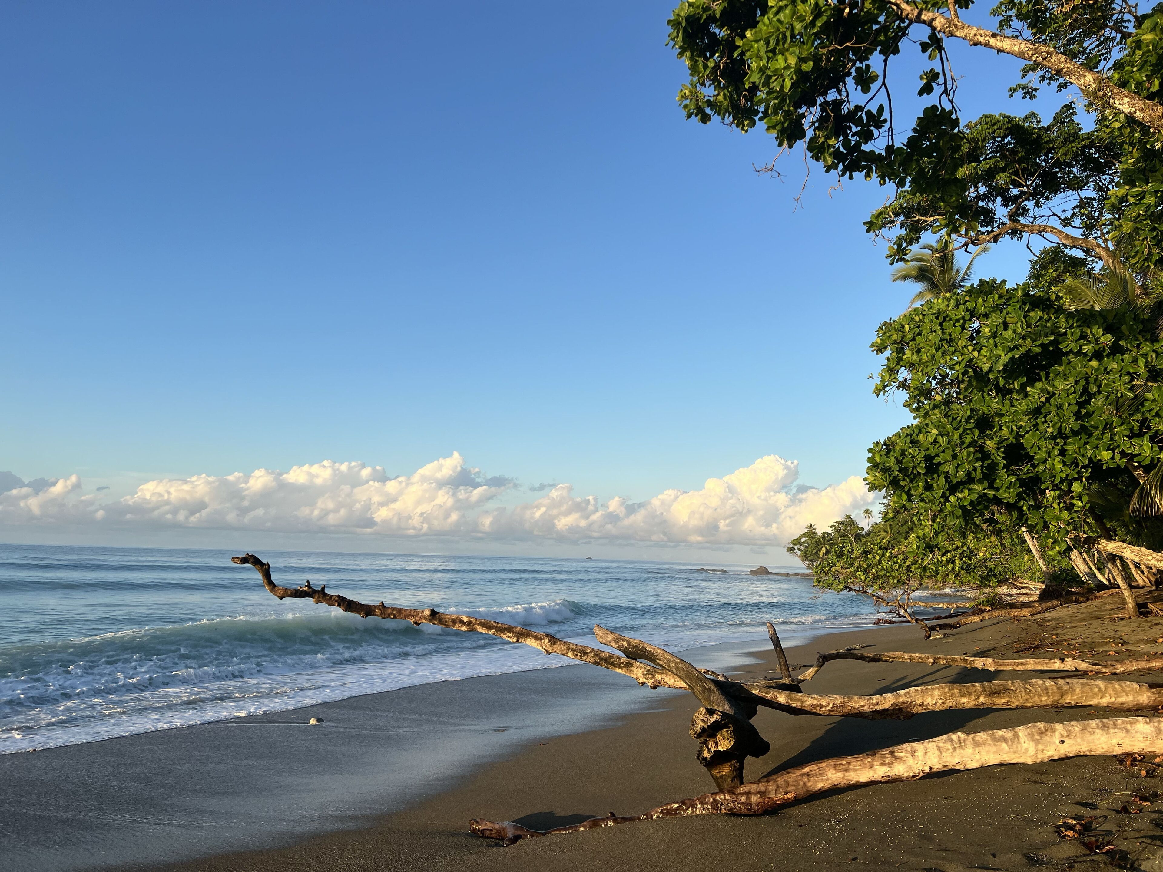 Plage à proximité, chaises longues, serviettes de plage