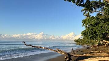 Ranta lähistöllä, aurinkotuoleja, rantapyyhkeitä