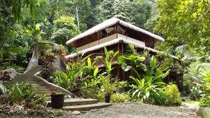 Exterior - Jungle Villa w/ Luxurious NEW Pool ~ Walk to Surf, Beaches & Waterfall (Cabo Matapalo)