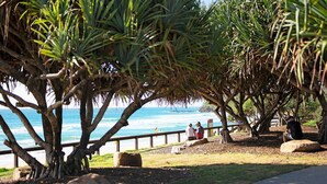 A coastal park with a wooden walkway, palm trees, and a view of the ocean. - Unit 2 'Point Break' (Point Arkwright)