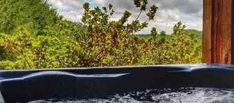 2BR/1BA Cabin | Hot Tub | Ocoee River Area | Wifi