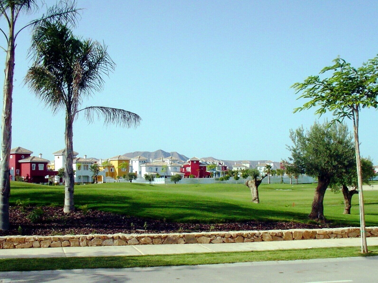 A residential area with houses, a well-maintained lawn, and a clear sky.