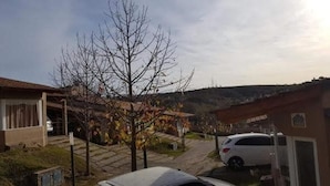 Un barrio residencial con una casa, un coche estacionado y un árbol sin hojas.