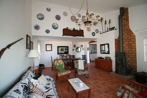 Televisión, chimenea, reproductor de DVD y tenis de mesa 