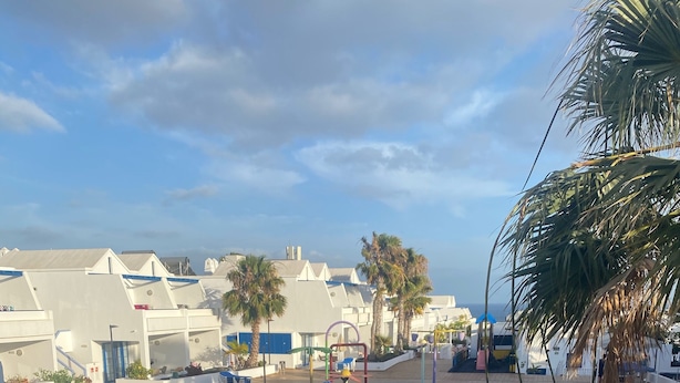 A pool area with exercise equipment, palm trees, and a view of the sea.