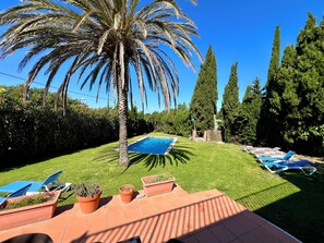 Jardí amb piscina, palmera i gandules.