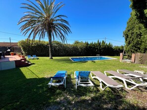 Quintal com piscina, cadeiras de descanso e uma palmeira.